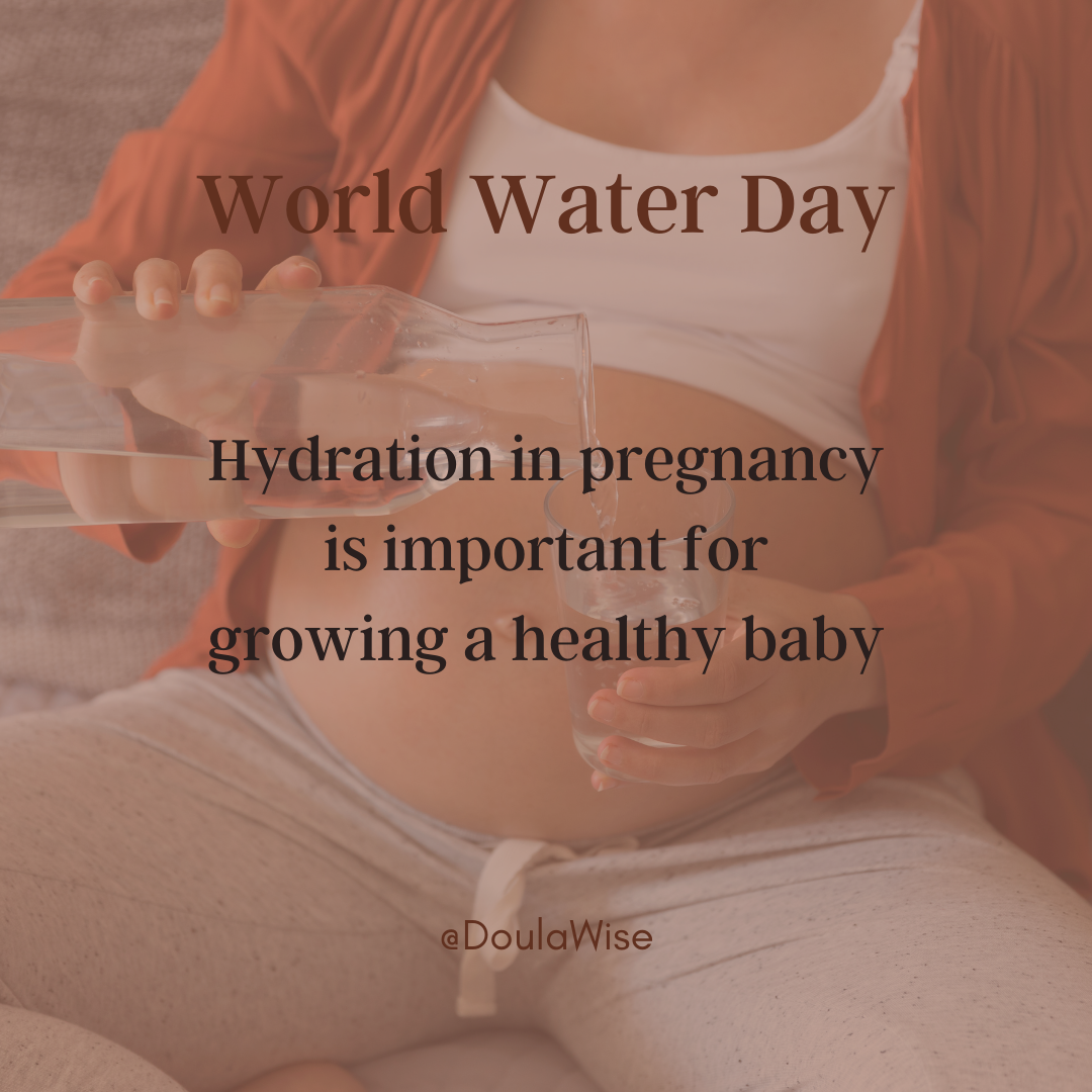 Hydration in Pregnancy – DoulaWise