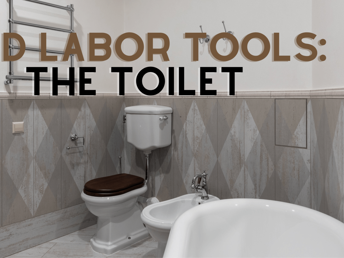 Odd Labor Tools: The&nbsp;Toilet